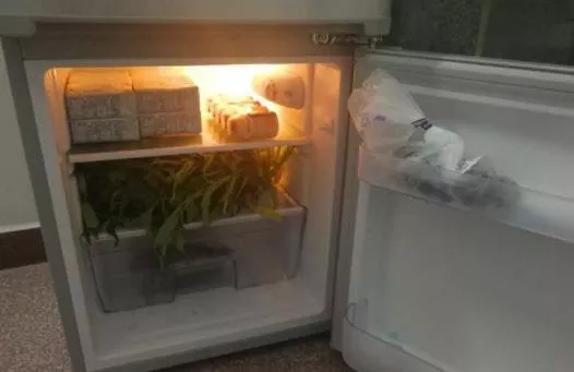 冰箱有异响怎么办