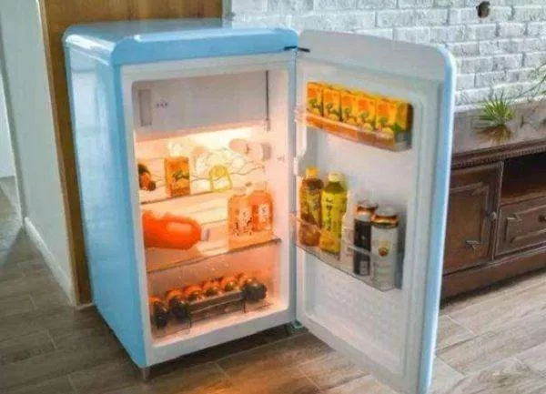冬天冰箱不用怎么办