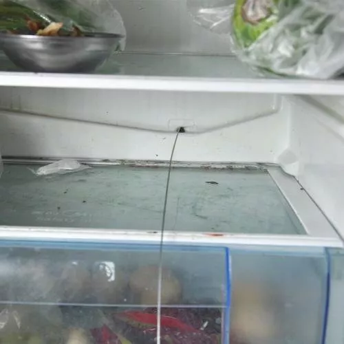 冰箱里有水是怎么回事